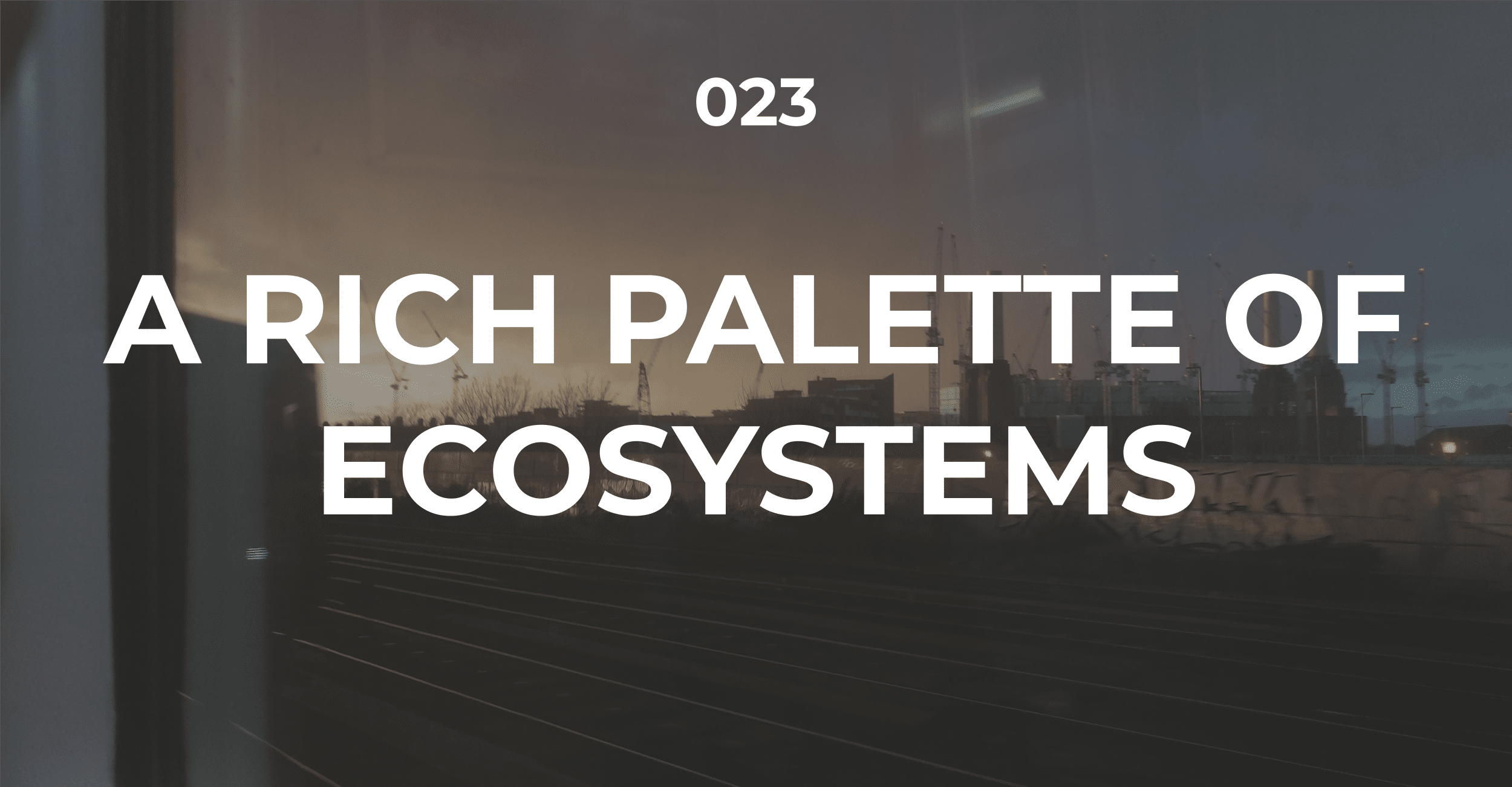 A rich palette of ecosystems