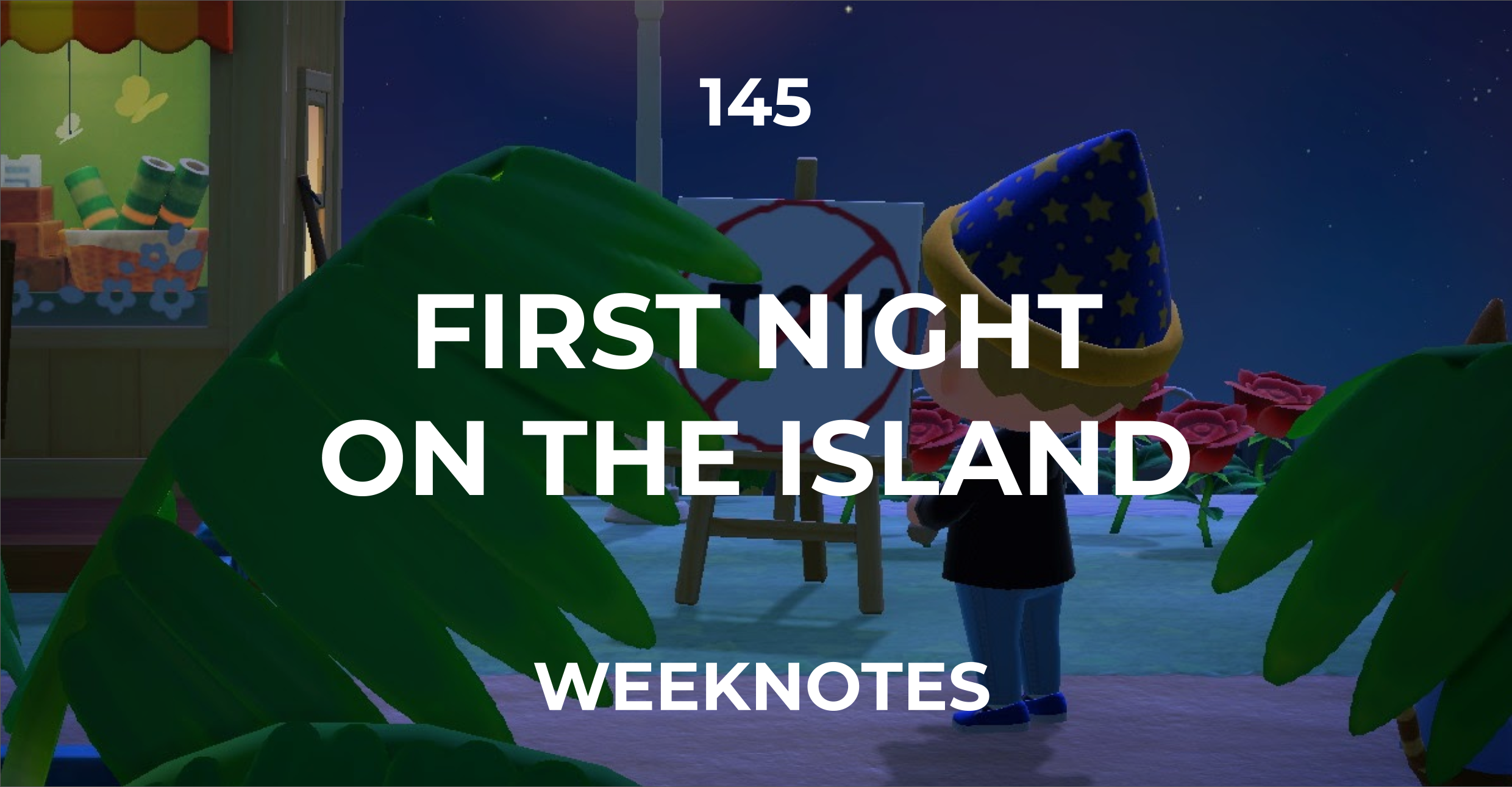 First Night On The Island