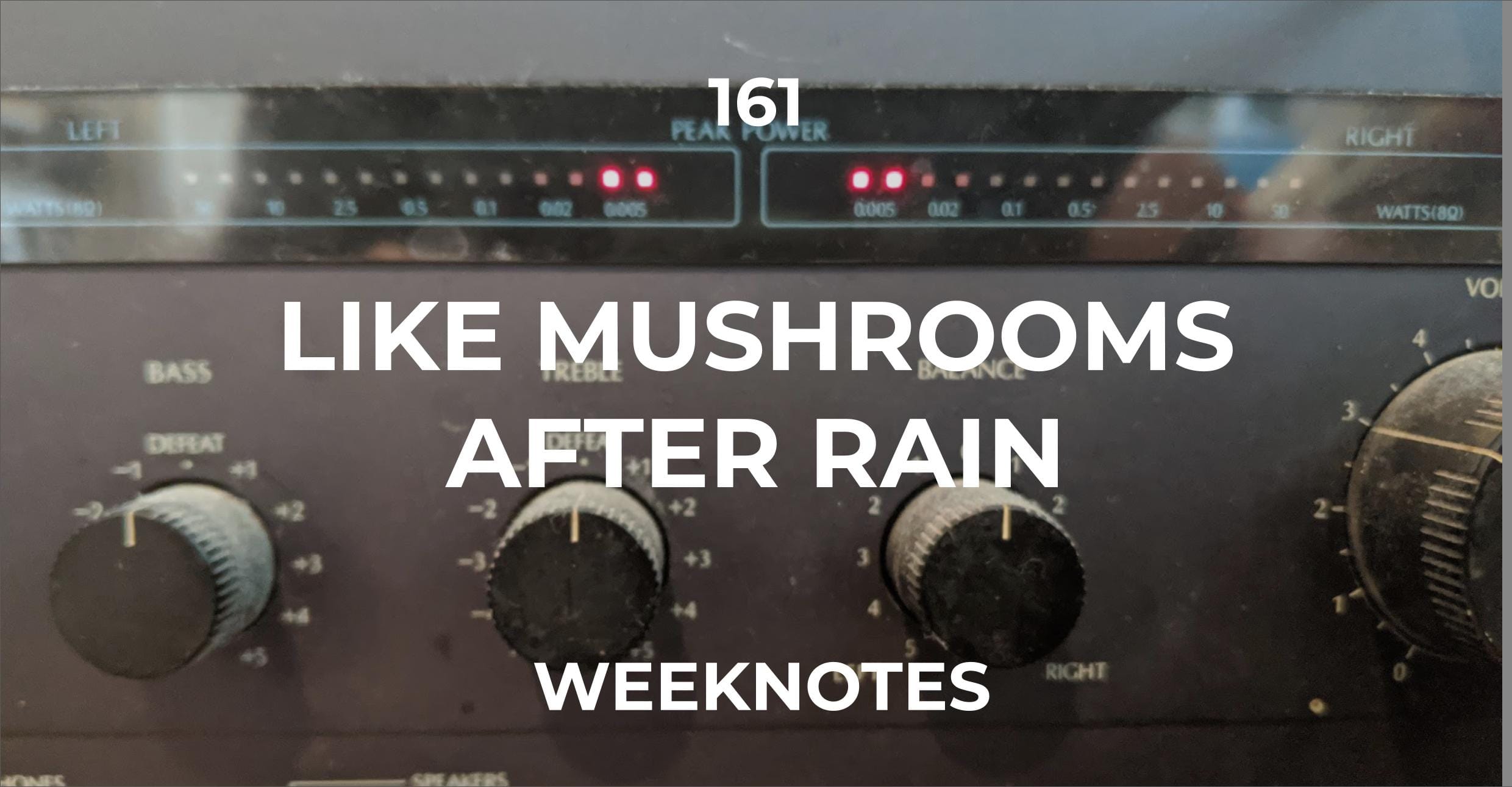 Like Mushrooms After Rain