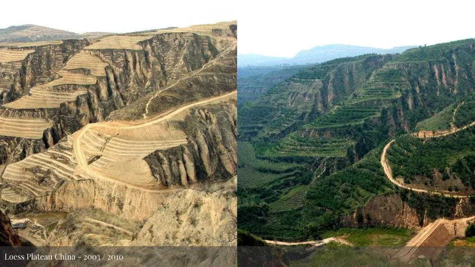 Loess Plateau China 2001-2010 before and after comparison showing landscape restoration from denuded plateau to green terraced valleys