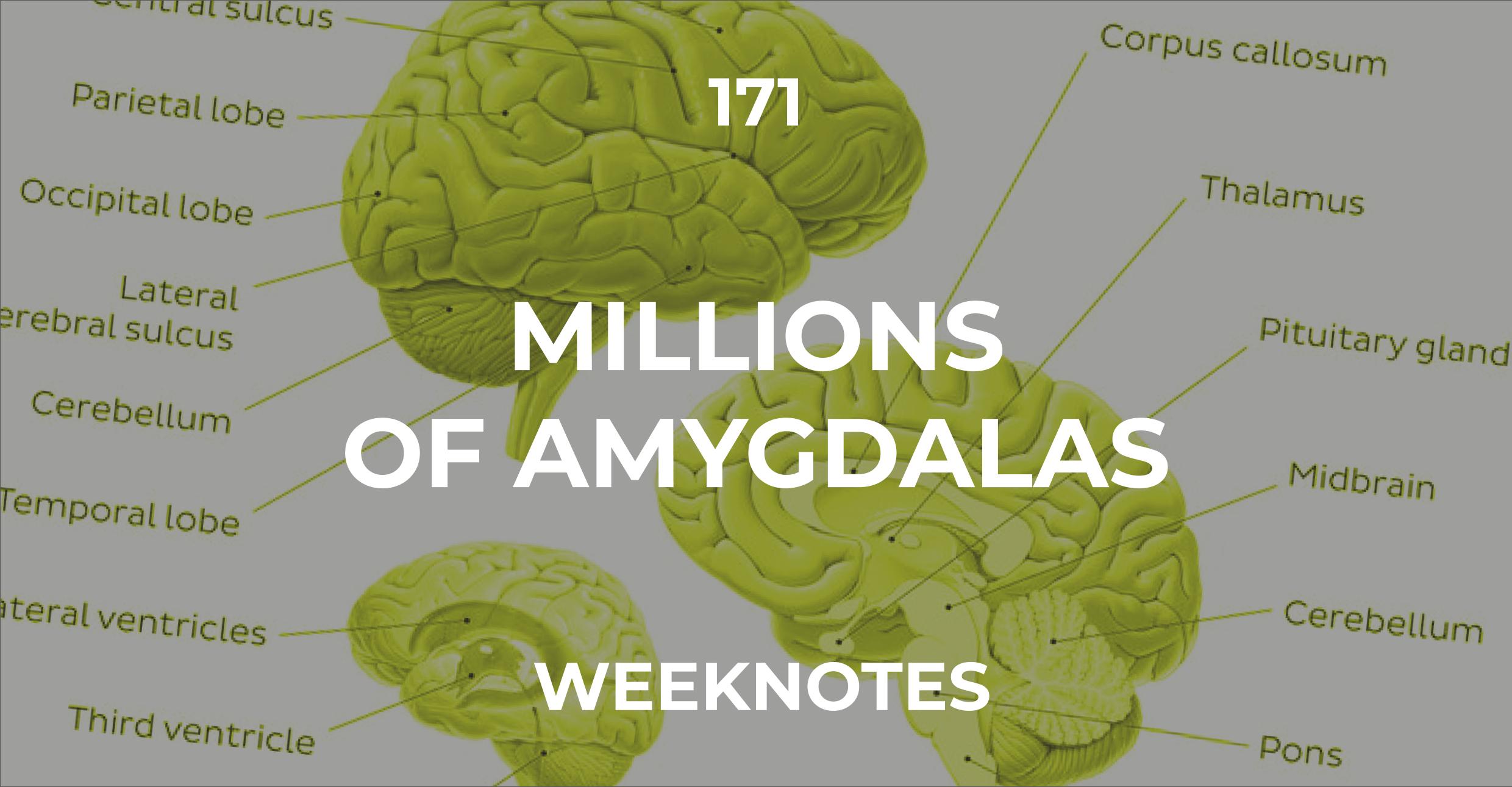 Millions of Amygdalas