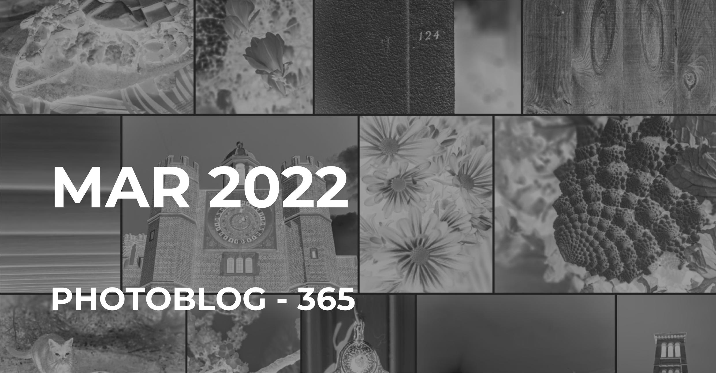 Mar 2022 | Photo 365