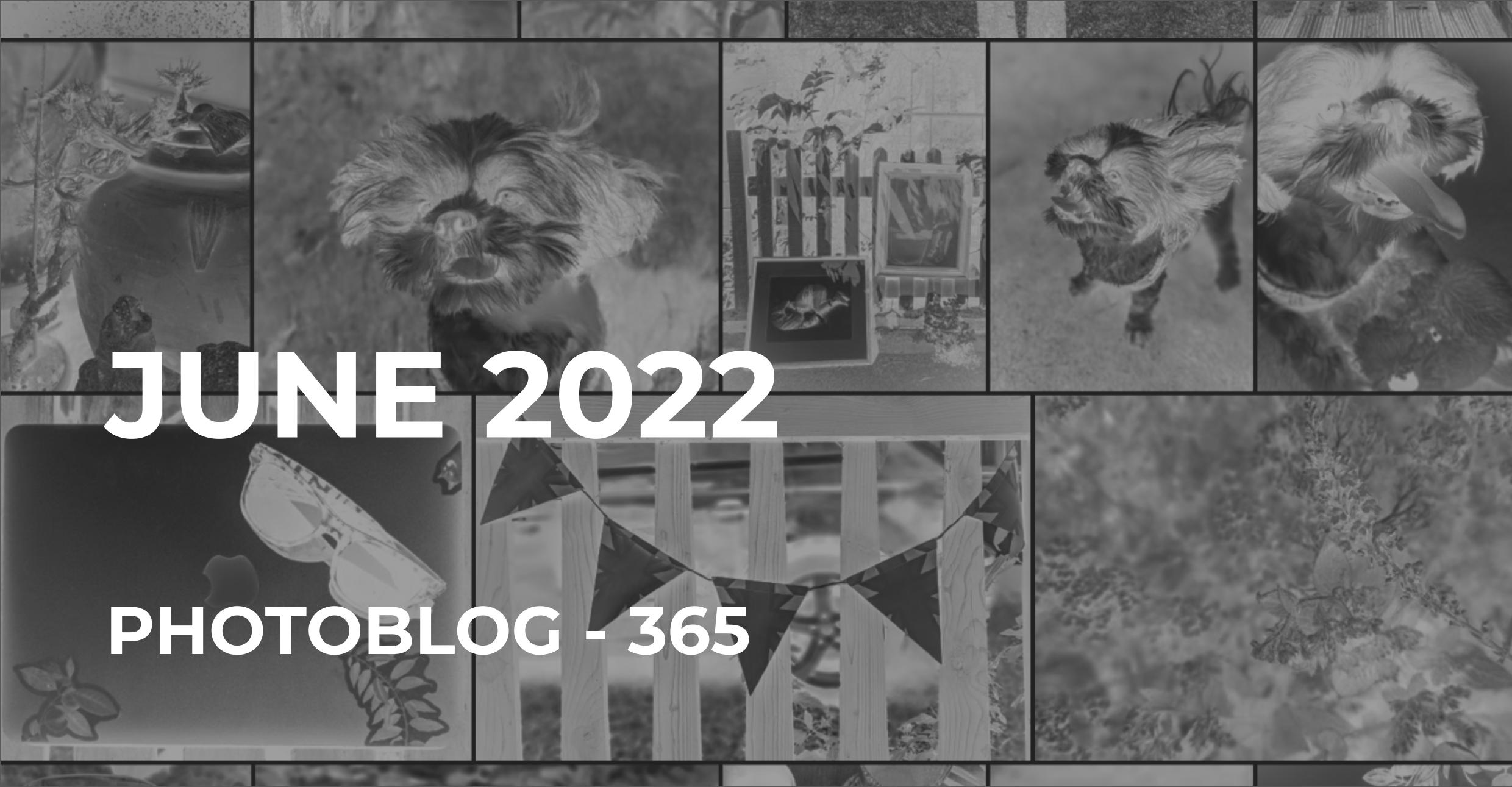 June 2022 | Photo 365