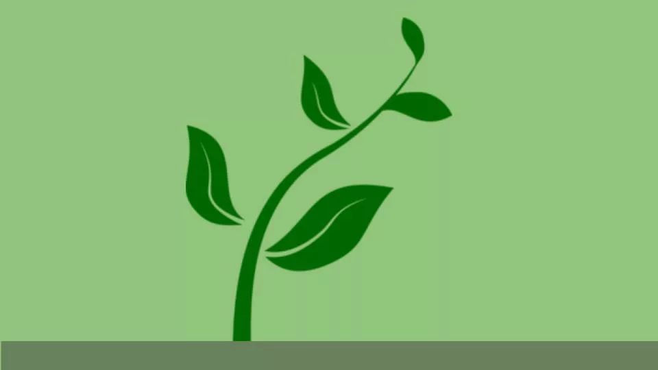 Featured image for Solarpunk: Life in the Future Beyond the Rusted Chrome of Yestermorrow - a simple green plant sprout against a light green background.