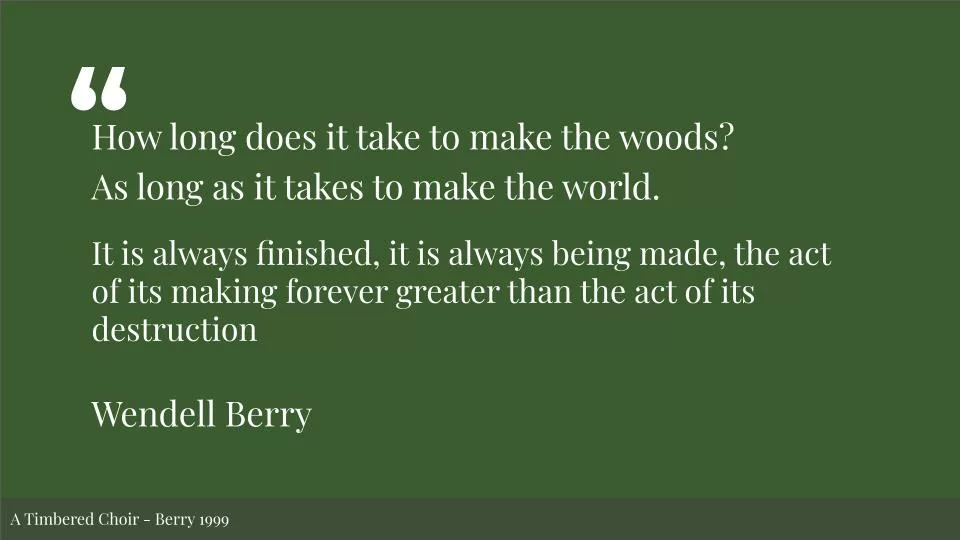 Featured image for Solarpunk Life in the Future Beyond the Rusted Chrome of Yestermorrow - A quote by Wendell Berry on a green background: How long does it take to make the woods? As long as it takes to make the world. It is always finished, it is always being made, the act of its making forever greater than the act of its destruction.